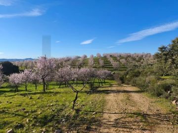 Terreno para Venda em Touça