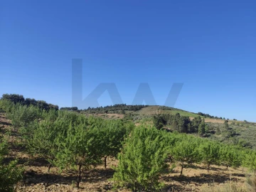 Terreno para Venda em Touça