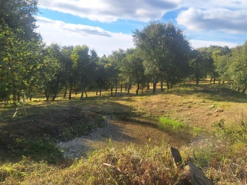 Terreno para Venda em Touça