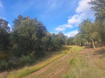 Terreno para Venda em Touça