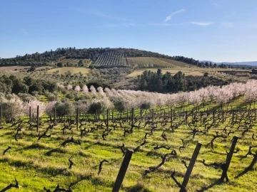Terreno para Venda em Touça