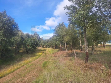Terreno para Venda em Touça