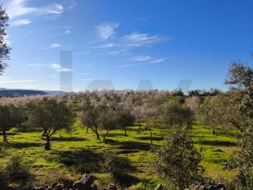 Terreno para Venda em Touça