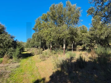 Terreno para Venda em Touça