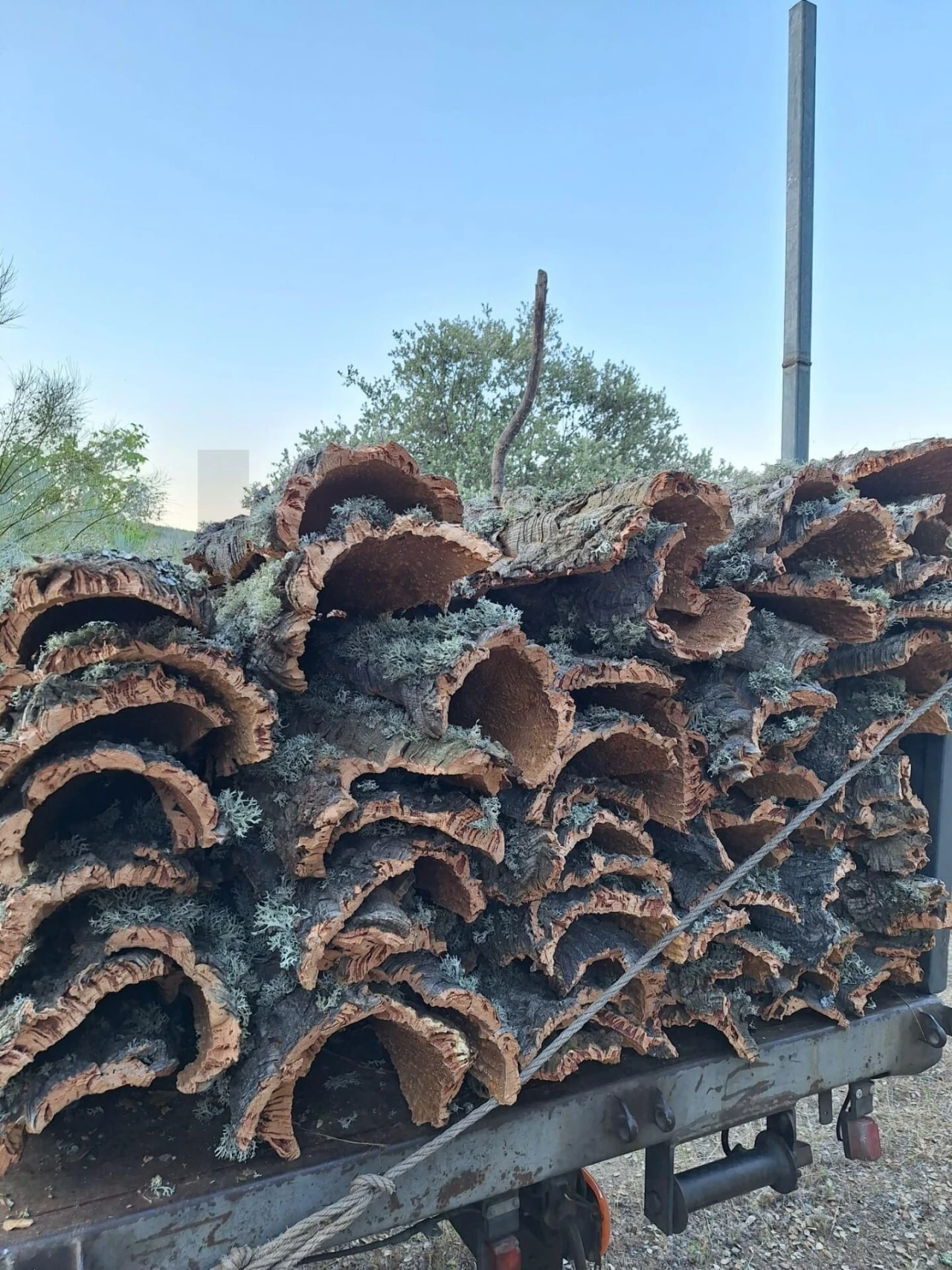 Terreno para Venda em Touça Foto 25