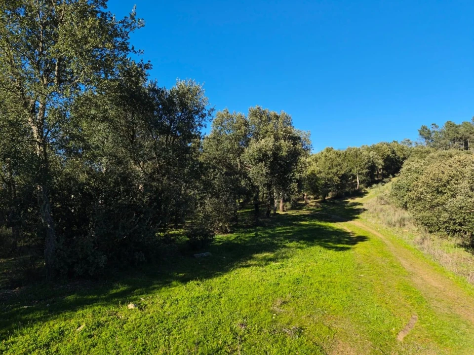 Terreno para Venda em Touça Foto 20