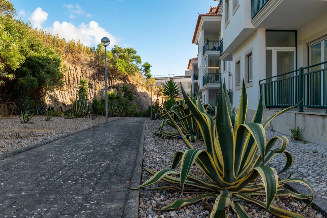 Apartamento T2 para Venda em Ericeira Foto 51