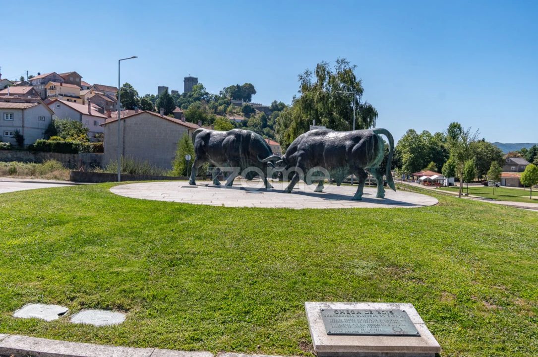 Negócio para Venda em Cambeses do Rio, Donões e Mourilhe Foto 65