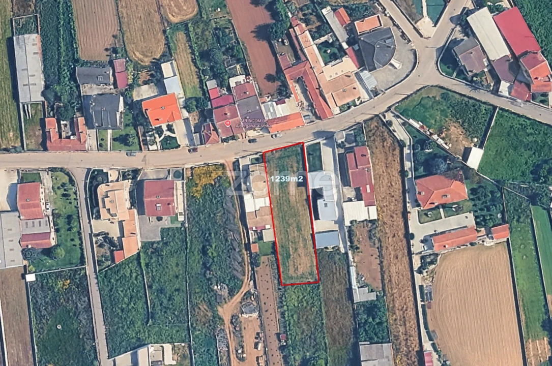 Terreno para Venda em Branca Foto 3