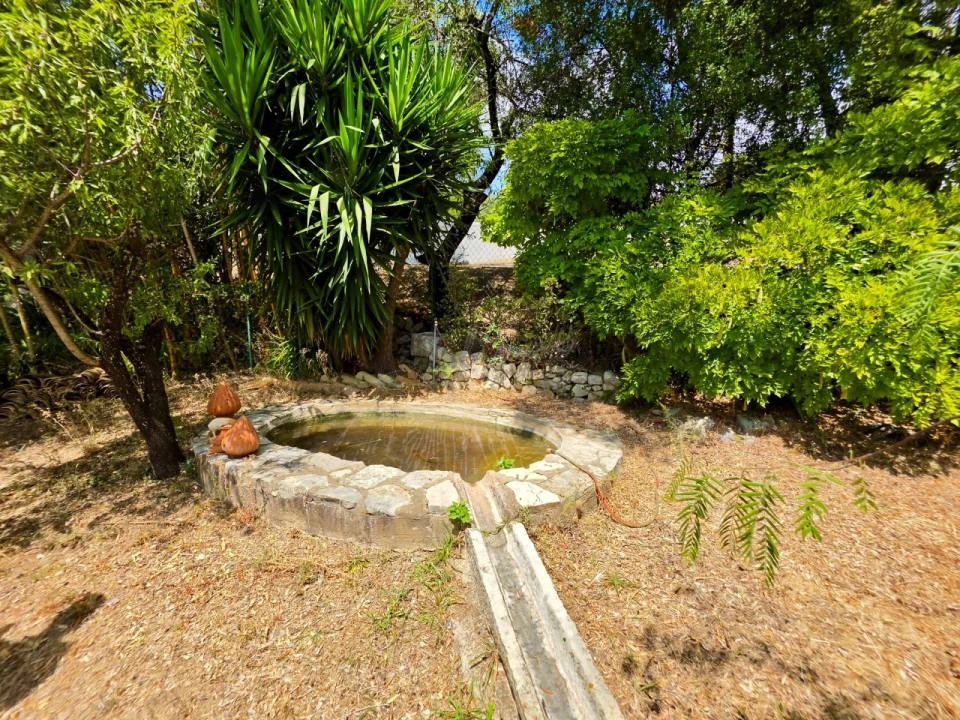 Moradia T4 para Venda em São Brás de Alportel Foto 30