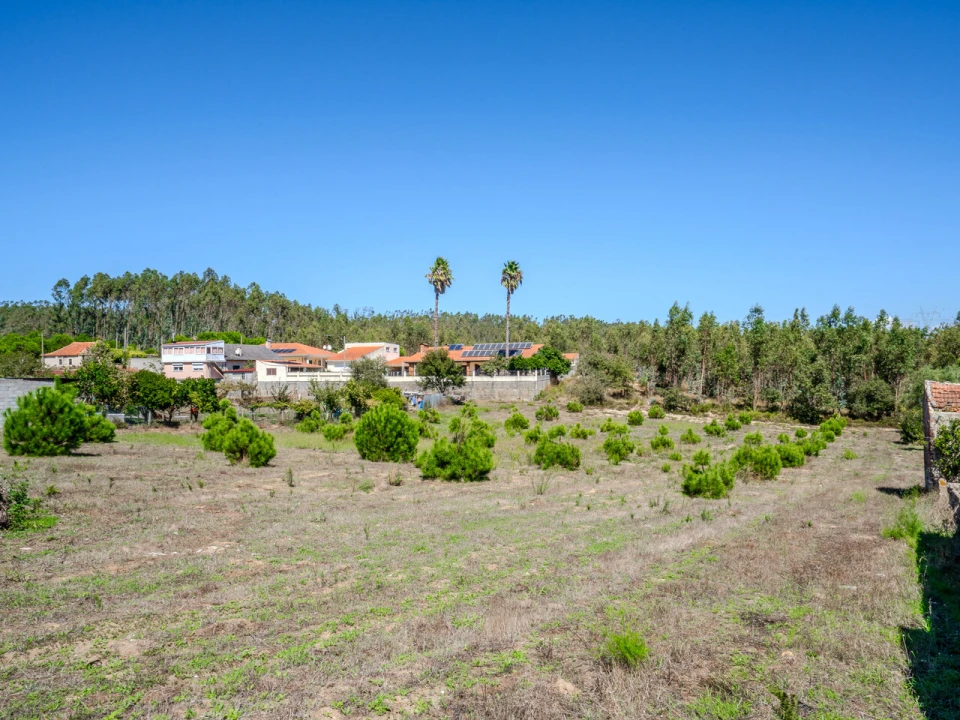 Terreno para Venda em Maceira Foto 1
