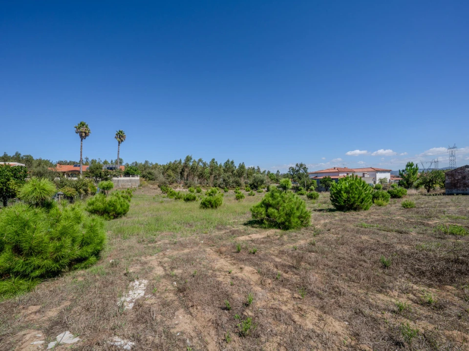 Terreno para Venda em Maceira Foto 2