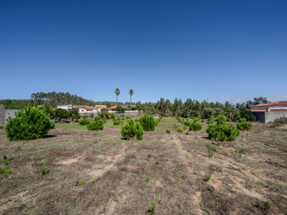 Terreno para Venda em Maceira Foto 3