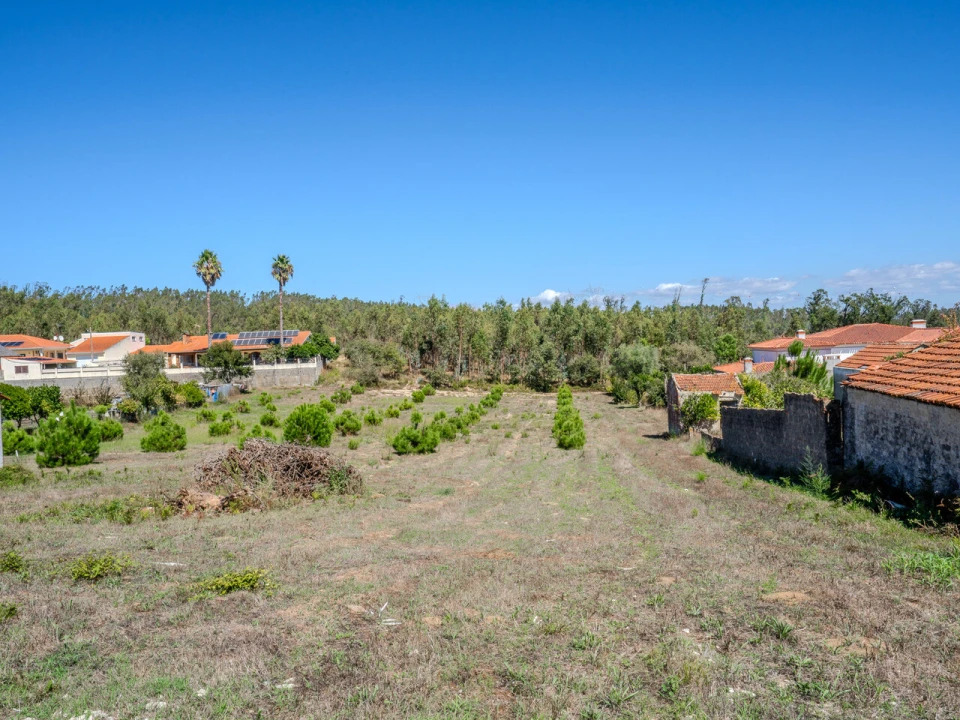 Terreno para Venda em Maceira Foto 4