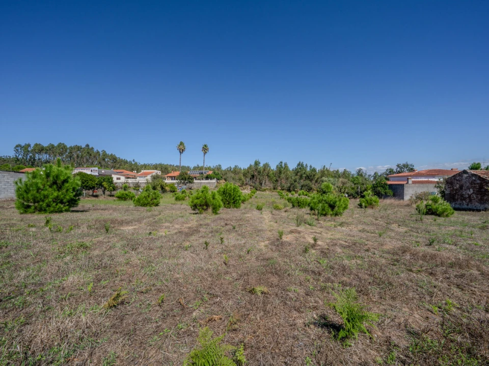 Terreno para Venda em Maceira Foto 6