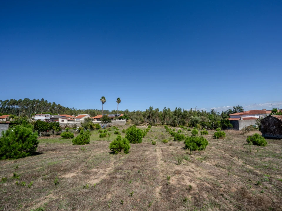 Terreno para Venda em Maceira Foto 7