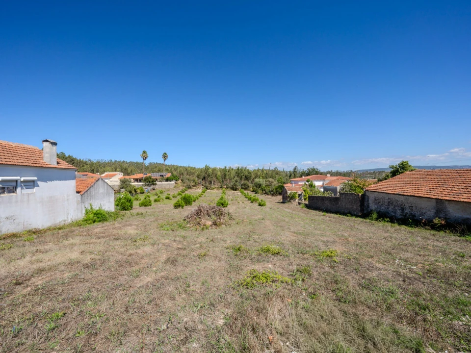 Terreno para Venda em Maceira Foto 8