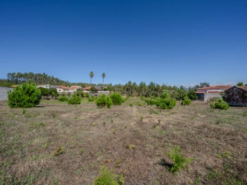Terreno para Venda em Maceira