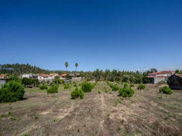 Terreno para Venda em Maceira