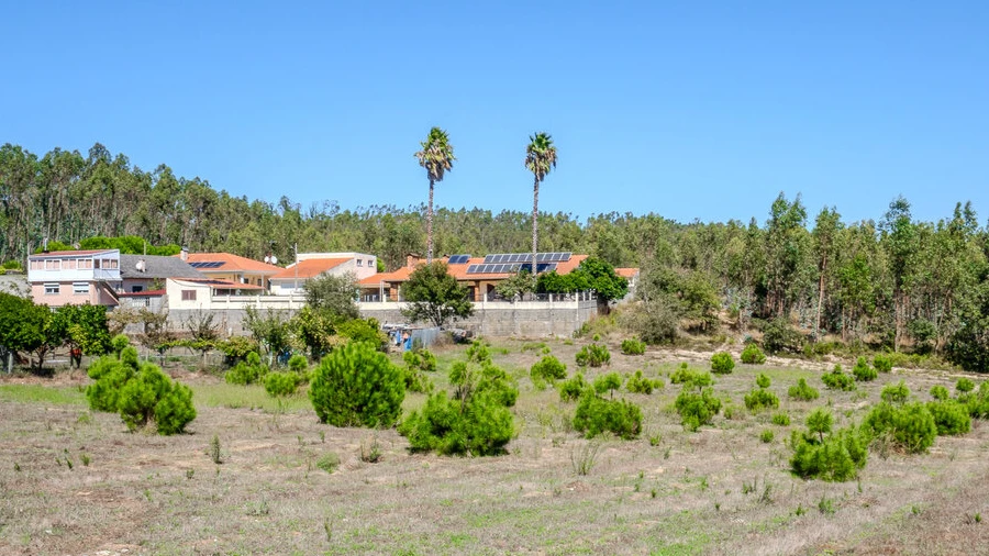 Terreno para Venda em Maceira