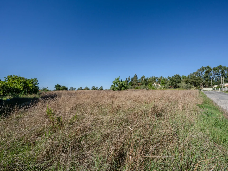 Terreno para Venda em Juncal Foto 3