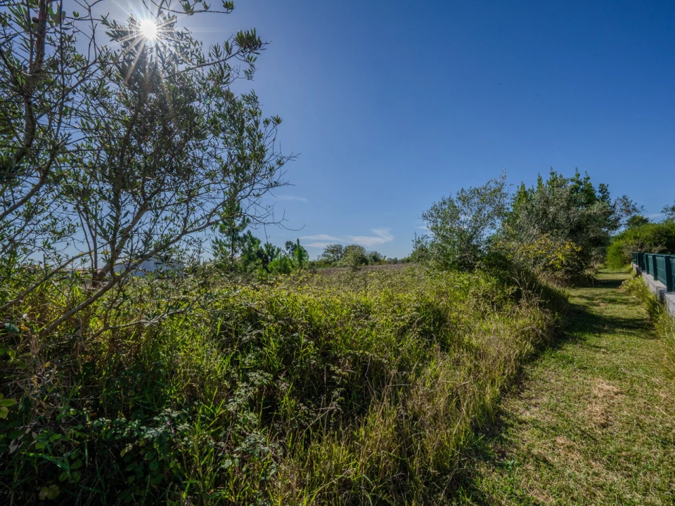 Terreno para Venda em Juncal Foto 4