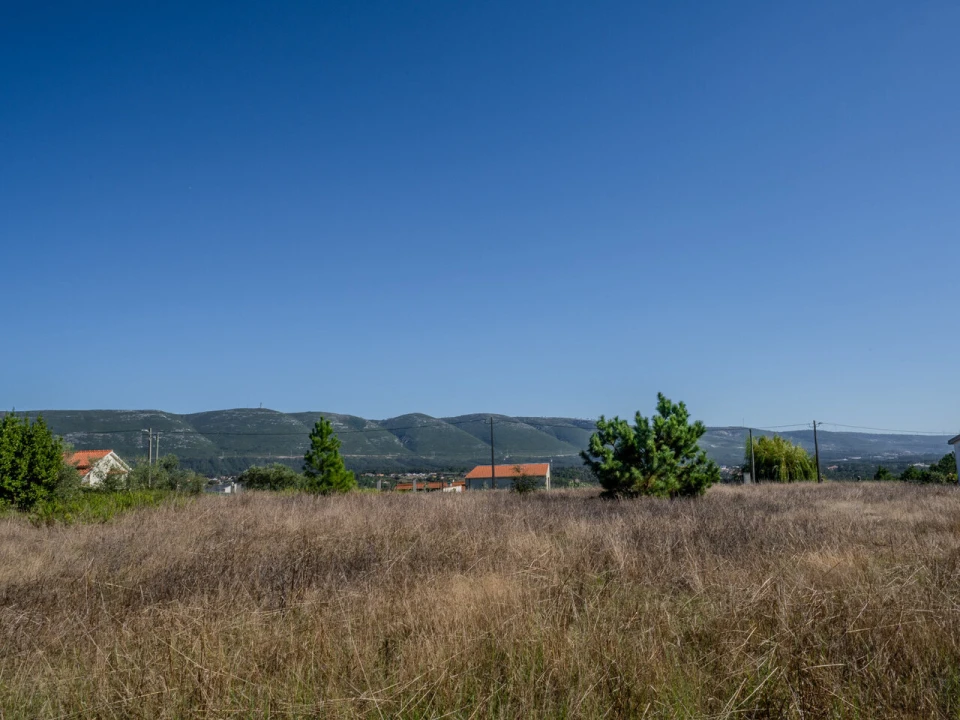Terreno para Venda em Juncal Foto 9