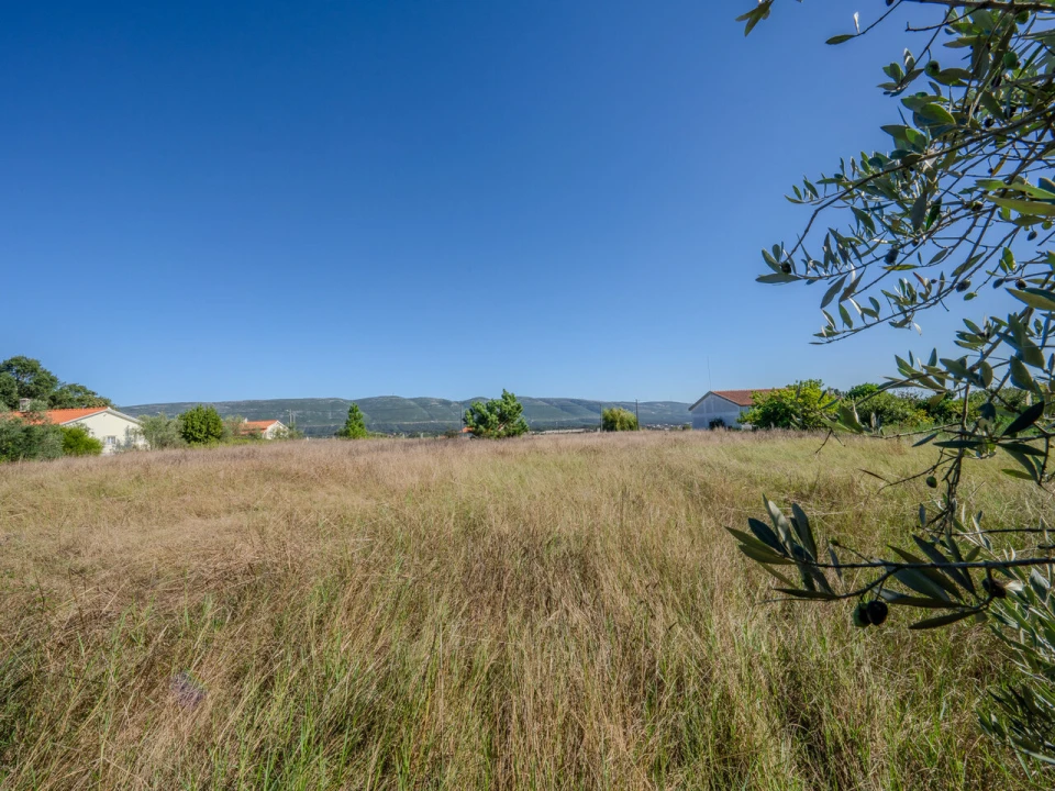 Terreno para Venda em Juncal Foto 2