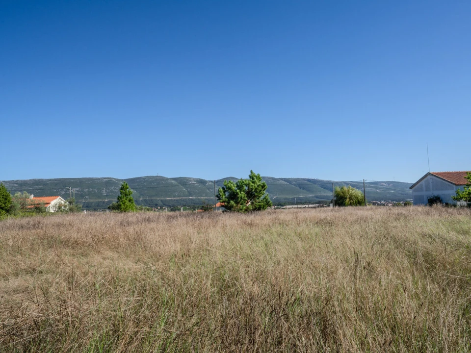 Terreno para Venda em Juncal Foto 10