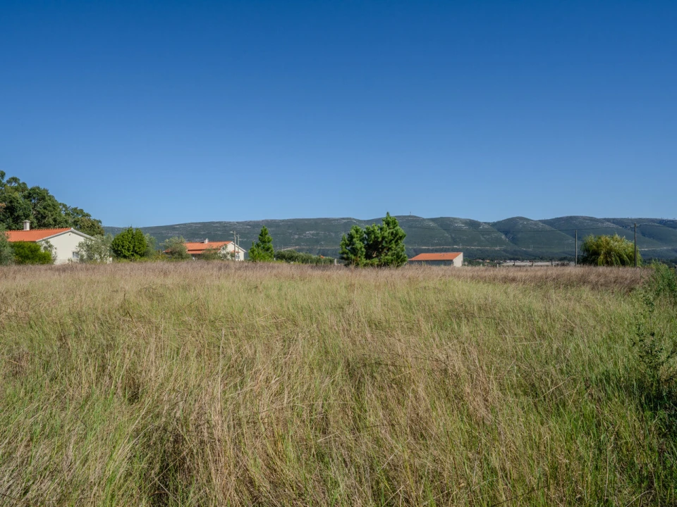 Terreno para Venda em Juncal Foto 11