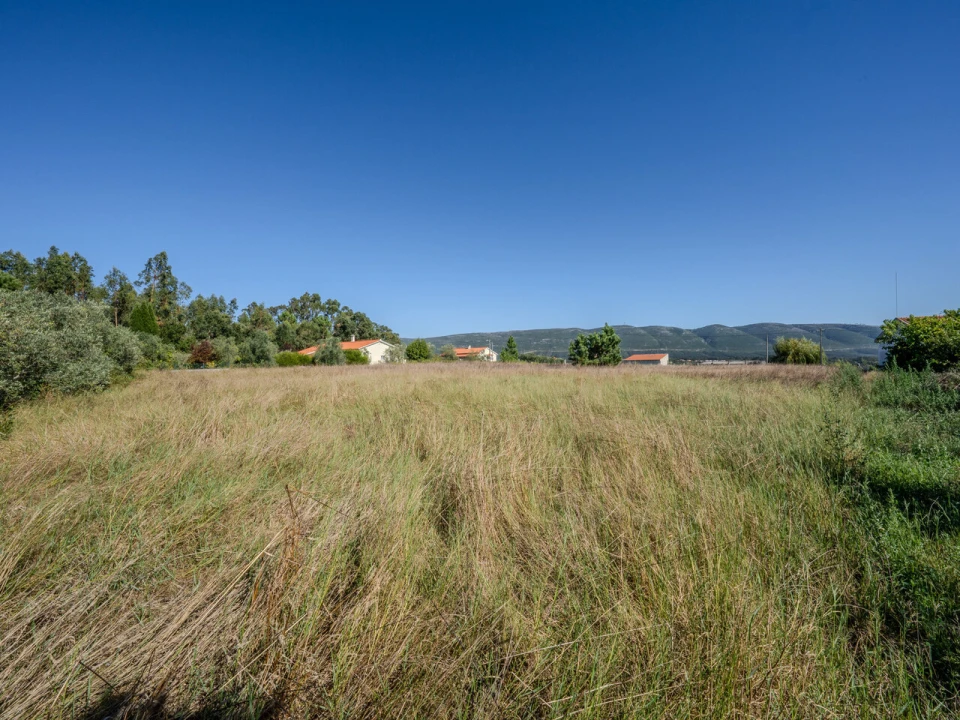 Terreno para Venda em Juncal Foto 8