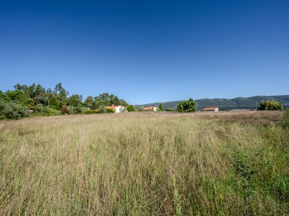 Terreno para Venda em Juncal Foto 1