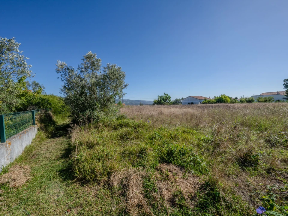 Terreno para Venda em Juncal Foto 7