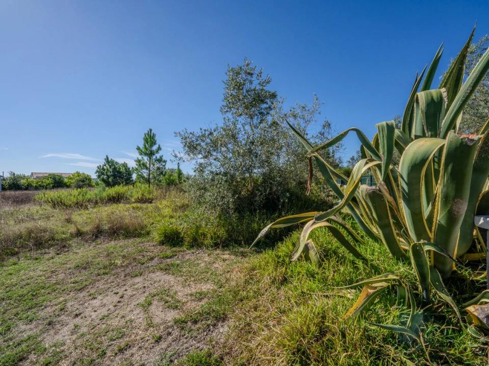 Terreno para Venda em Juncal Foto 5