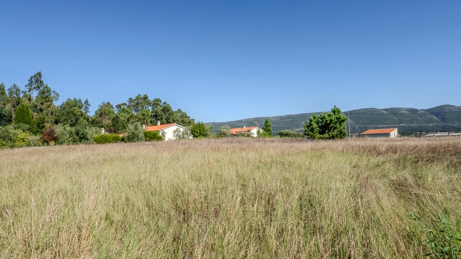 Terreno para Venda em Juncal