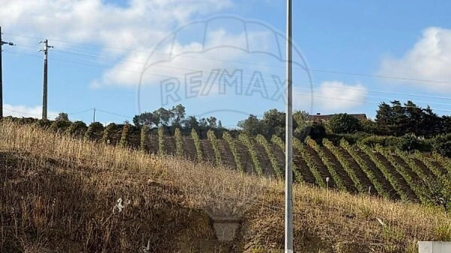Terreno para Venda em Arruda dos Vinhos