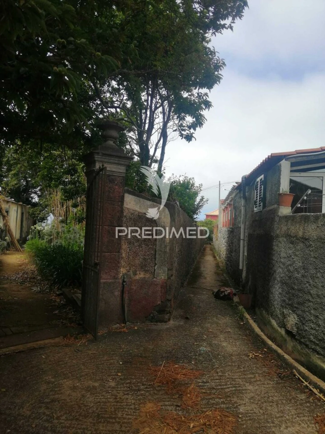 Quinta T9 para Venda em Ponta do Pargo Foto 8