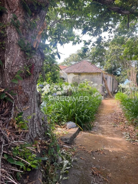 Quinta T9 para Venda em Ponta do Pargo