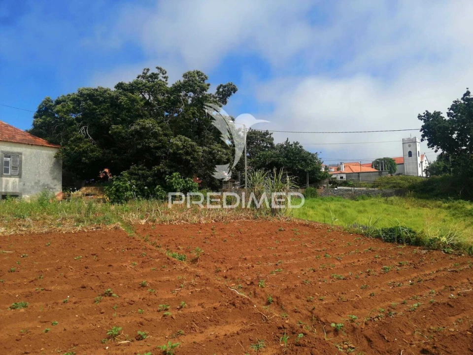 Quinta T9 para Venda em Ponta do Pargo Foto 5