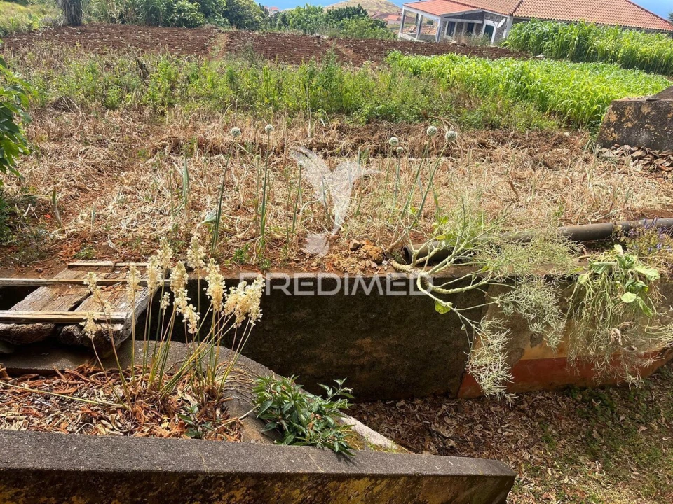 Quinta T9 para Venda em Ponta do Pargo Foto 6