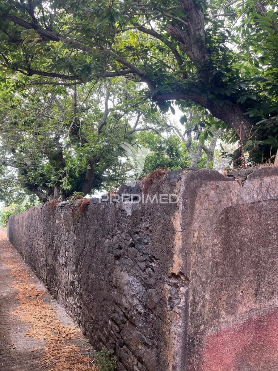 Quinta T9 para Venda em Ponta do Pargo Foto 4