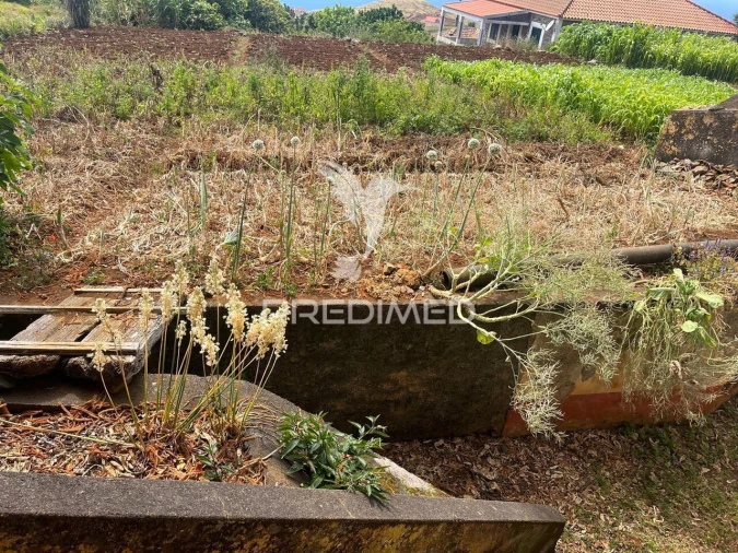 Quinta T9 para Venda em Ponta do Pargo Foto 6