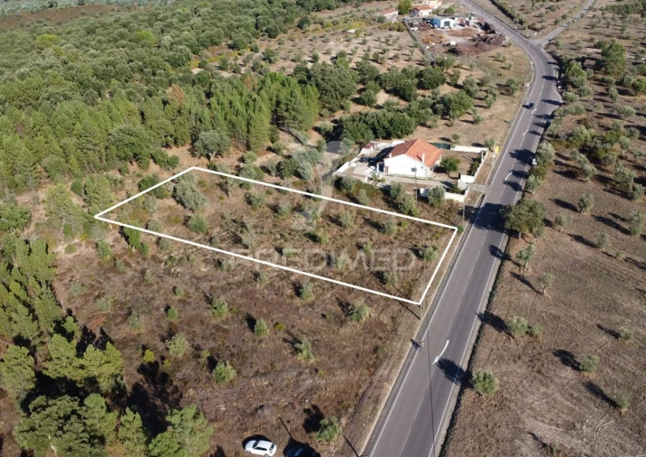 Terreno para Venda em Pego Foto 5