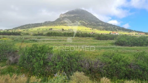 Terreno para Venda em Porto Santo