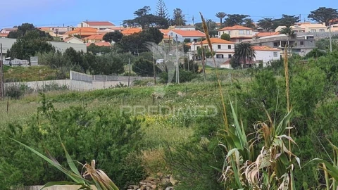 Terreno para Venda em Porto Santo