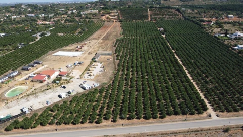 Terreno para Venda em Porches