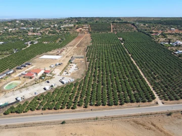 Terreno para Venda em Porches