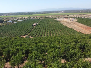 Terreno para Venda em Porches