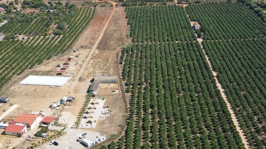Terreno para Venda em Porches