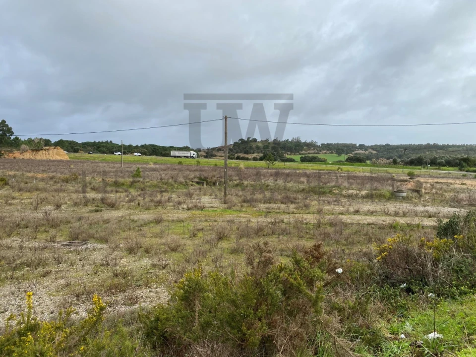 Terreno Comércio / Armazém para Venda em Aveiras de Cima Foto 6